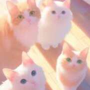 ヒメ日記 2025/02/25 16:50 投稿 たまき 奥鉄オクテツ大阪