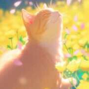 ヒメ日記 2025/03/04 15:30 投稿 たまき 奥鉄オクテツ大阪