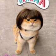 ヒメ日記 2025/03/14 17:50 投稿 たまき 奥鉄オクテツ大阪