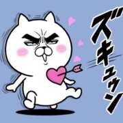 ヒメ日記 2025/03/16 13:00 投稿 たまき 奥鉄オクテツ大阪