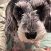 ヒメ日記 2025/03/19 08:15 投稿 たまき 奥鉄オクテツ大阪