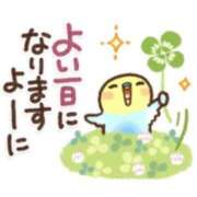 ヒメ日記 2025/03/22 10:55 投稿 たまき 奥鉄オクテツ大阪