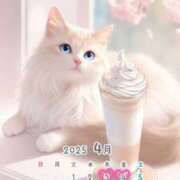 ヒメ日記 2025/03/31 18:30 投稿 たまき 奥鉄オクテツ大阪