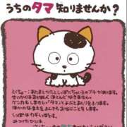 ヒメ日記 2025/04/04 19:15 投稿 たまき 奥鉄オクテツ大阪