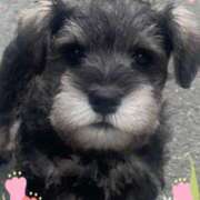 ヒメ日記 2025/05/02 11:50 投稿 たまき 奥鉄オクテツ大阪