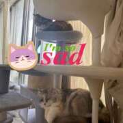 ヒメ日記 2025/05/22 13:20 投稿 たまき 奥鉄オクテツ大阪