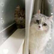 ヒメ日記 2025/05/26 10:00 投稿 たまき 奥鉄オクテツ大阪