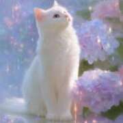 ヒメ日記 2025/06/01 09:20 投稿 たまき 奥鉄オクテツ大阪