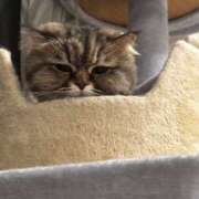 ヒメ日記 2025/06/03 09:40 投稿 たまき 奥鉄オクテツ大阪