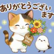 ヒメ日記 2025/06/04 16:10 投稿 たまき 奥鉄オクテツ大阪