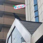 ヒメ日記 2025/06/07 19:00 投稿 たまき 奥鉄オクテツ大阪