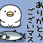 ヒメ日記 2025/07/01 06:25 投稿 たまき 奥鉄オクテツ大阪