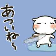 ヒメ日記 2025/07/05 17:55 投稿 たまき 奥鉄オクテツ大阪