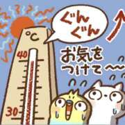 ヒメ日記 2025/07/08 07:45 投稿 たまき 奥鉄オクテツ大阪