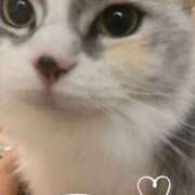 ヒメ日記 2025/07/24 11:35 投稿 たまき 奥鉄オクテツ大阪