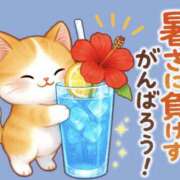 ヒメ日記 2025/07/31 16:30 投稿 たまき 奥鉄オクテツ大阪