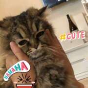 ヒメ日記 2025/07/31 17:30 投稿 たまき 奥鉄オクテツ大阪