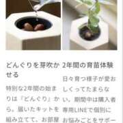 ヒメ日記 2025/08/27 08:10 投稿 たまき 奥鉄オクテツ大阪