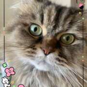 ヒメ日記 2025/09/11 16:10 投稿 たまき 奥鉄オクテツ大阪