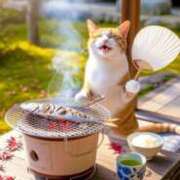 ヒメ日記 2025/09/16 10:10 投稿 たまき 奥鉄オクテツ大阪