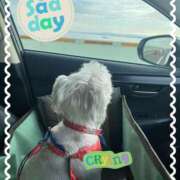 ヒメ日記 2025/09/20 13:00 投稿 たまき 奥鉄オクテツ大阪