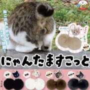 ヒメ日記 2025/09/24 11:45 投稿 たまき 奥鉄オクテツ大阪