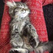 ヒメ日記 2025/09/27 13:35 投稿 たまき 奥鉄オクテツ大阪