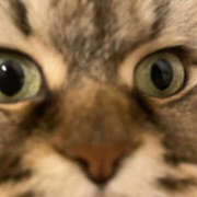 ヒメ日記 2025/10/05 12:15 投稿 たまき 奥鉄オクテツ大阪