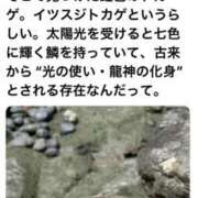 ヒメ日記 2025/10/09 21:30 投稿 たまき 奥鉄オクテツ大阪