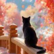 ヒメ日記 2025/10/20 11:35 投稿 たまき 奥鉄オクテツ大阪