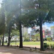 ヒメ日記 2025/10/24 09:50 投稿 たまき 奥鉄オクテツ大阪