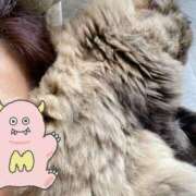 ヒメ日記 2025/10/26 10:50 投稿 たまき 奥鉄オクテツ大阪