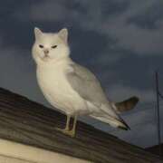 ヒメ日記 2025/11/01 08:10 投稿 たまき 奥鉄オクテツ大阪