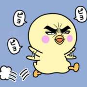 ヒメ日記 2025/11/04 11:20 投稿 たまき 奥鉄オクテツ大阪