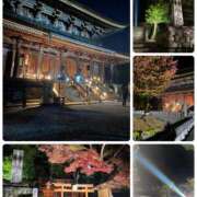 ヒメ日記 2025/11/07 23:50 投稿 たまき 奥鉄オクテツ大阪