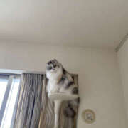 ヒメ日記 2025/11/10 13:05 投稿 たまき 奥鉄オクテツ大阪