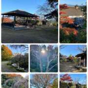 ヒメ日記 2025/11/11 11:35 投稿 たまき 奥鉄オクテツ大阪