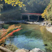 ヒメ日記 2025/11/16 09:10 投稿 たまき 奥鉄オクテツ大阪