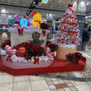 ヒメ日記 2025/12/01 17:45 投稿 たまき 奥鉄オクテツ大阪