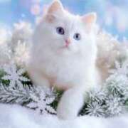 ヒメ日記 2025/12/10 18:25 投稿 たまき 奥鉄オクテツ大阪