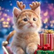 ヒメ日記 2025/12/25 15:05 投稿 たまき 奥鉄オクテツ大阪