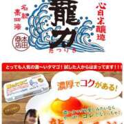 ヒメ日記 2025/12/29 14:40 投稿 たまき 奥鉄オクテツ大阪