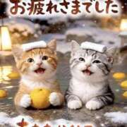 ヒメ日記 2025/12/31 15:55 投稿 たまき 奥鉄オクテツ大阪