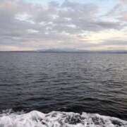 ヒメ日記 2026/01/31 17:50 投稿 たまき 奥鉄オクテツ大阪