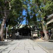 ヒメ日記 2026/10/11 16:51 投稿 たまき 奥鉄オクテツ大阪