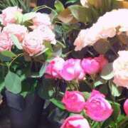 ヒメ日記 2024/12/17 21:03 投稿 岩佐ここな 松戸人妻花壇