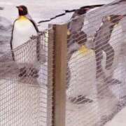 ヒメ日記 2025/02/20 22:52 投稿 岩佐ここな 松戸人妻花壇