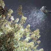 ヒメ日記 2025/03/04 22:32 投稿 岩佐ここな 松戸人妻花壇