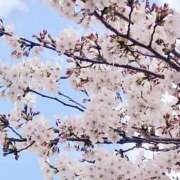 ヒメ日記 2025/04/28 23:07 投稿 岩佐ここな 松戸人妻花壇