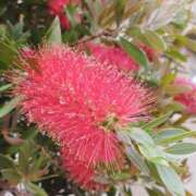 ヒメ日記 2025/05/13 22:29 投稿 岩佐ここな 松戸人妻花壇